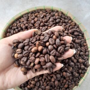 CÀ PHÊ ROBUSTA MỘC 18