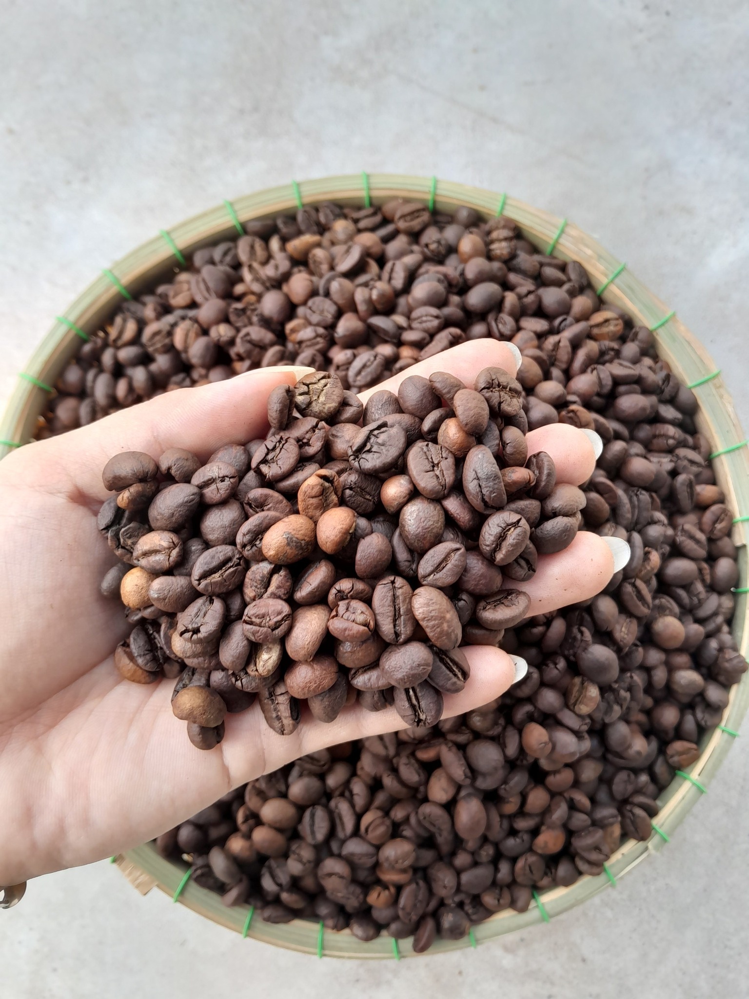 CÀ PHÊ ROBUSTA MỘC 18