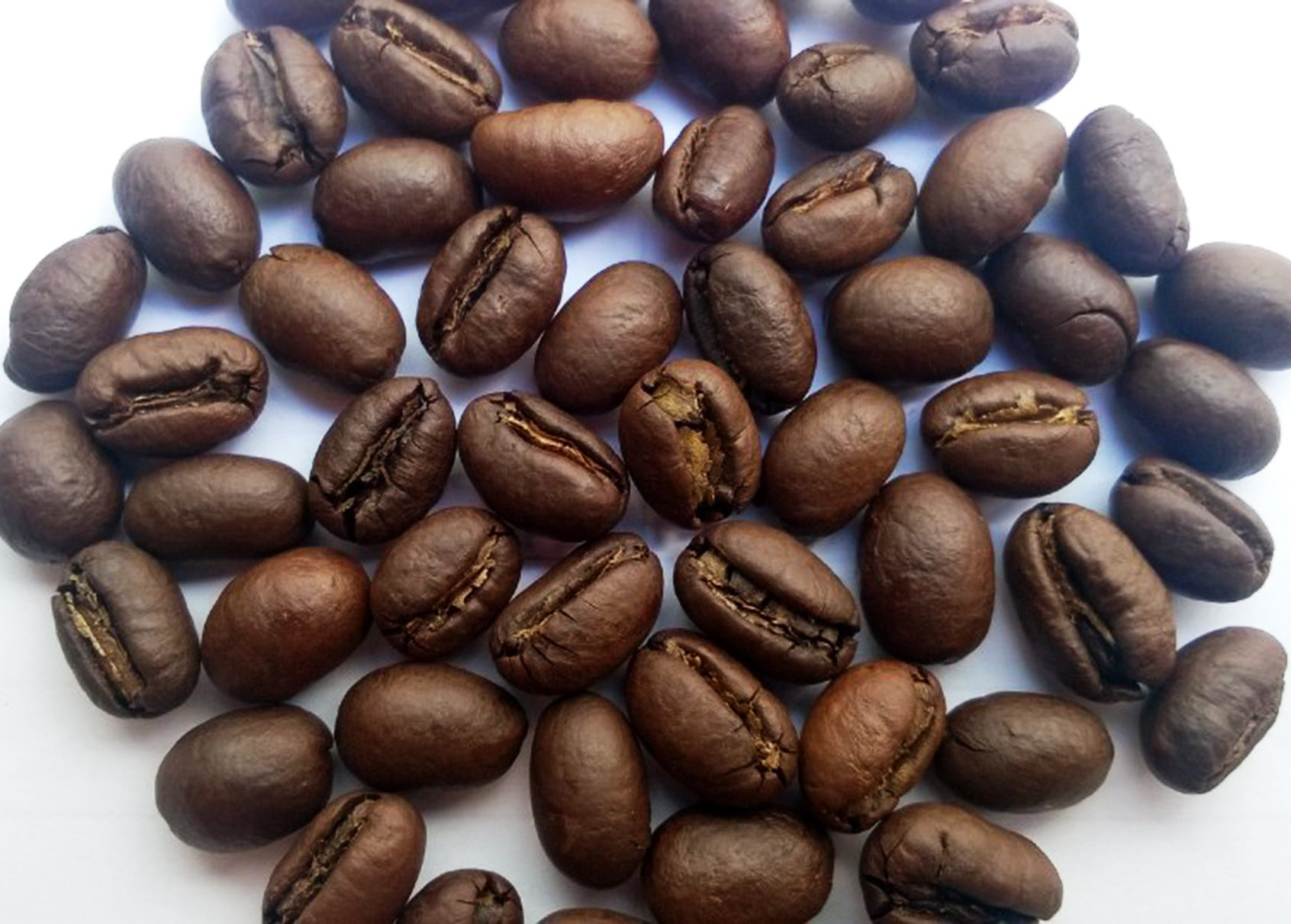 CULI MỘC SÀN 18