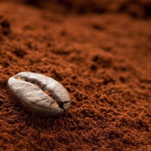 CÀ PHÊ ROBUSTA SỐ 1