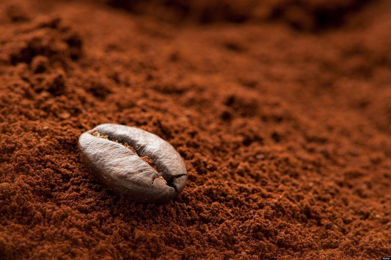 CÀ PHÊ ROBUSTA SỐ 1
