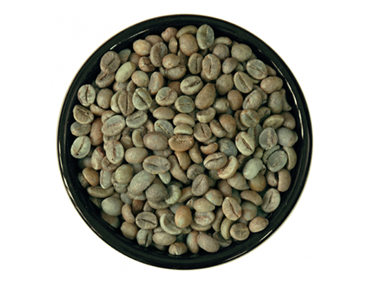 CÀ PHÊ NHÂN ROBUSTA S18